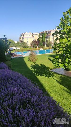 image_16