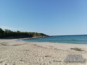 image_19
