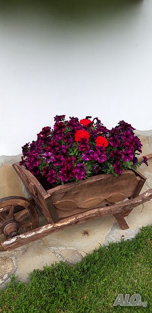image_37