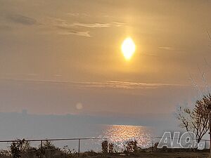 image_19