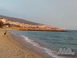 image_21