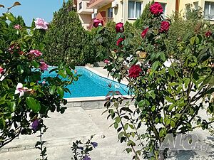 image_23