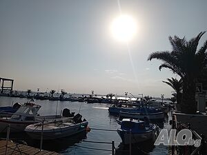 image_38