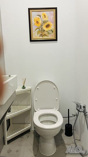 image_46