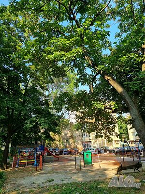image_24