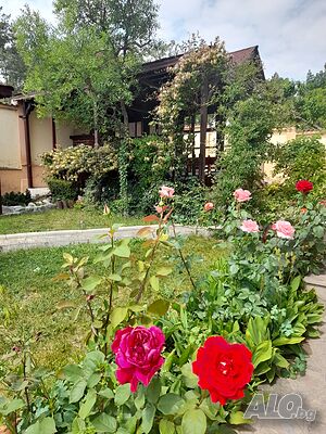 image_20