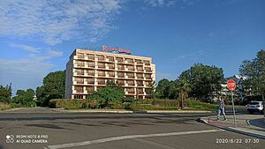 image_7