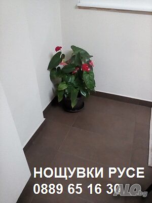 image_12