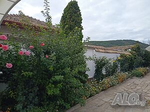 image_9