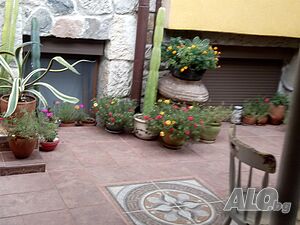 image_5