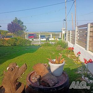 image_11