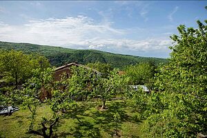 image_18