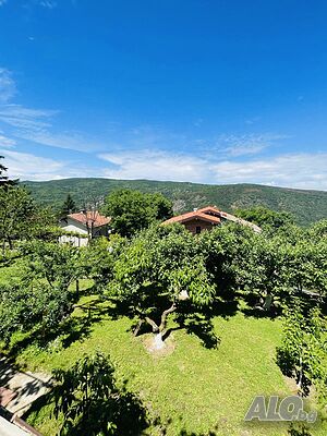image_48