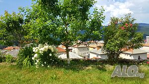 image_14