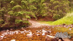 image_20