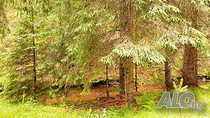 image_21