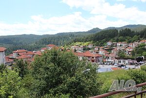 image_11