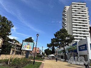 image_15