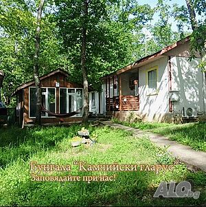 image_3