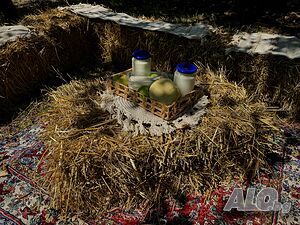 image_7