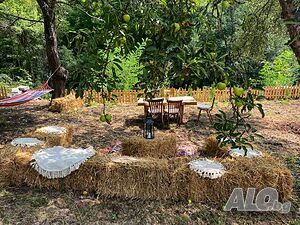 image_15