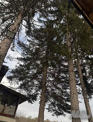 image_29
