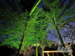 image_33