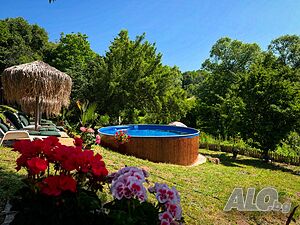 image_45