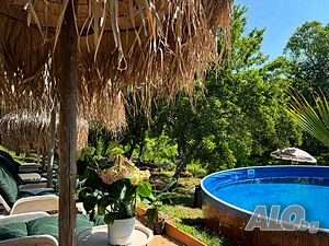 image_49