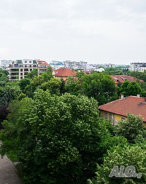 image_12