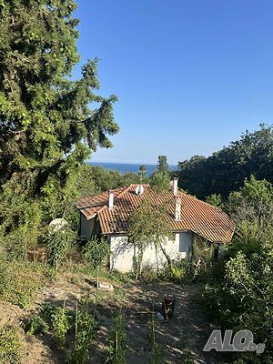 image_26
