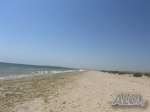 image_29