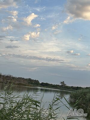 image_36
