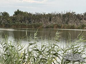 image_37
