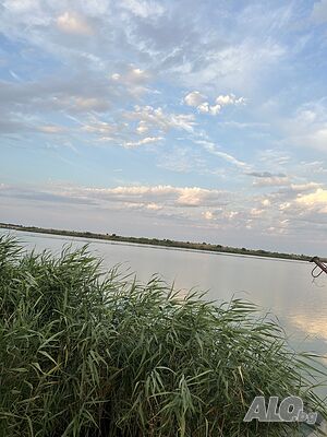 image_38
