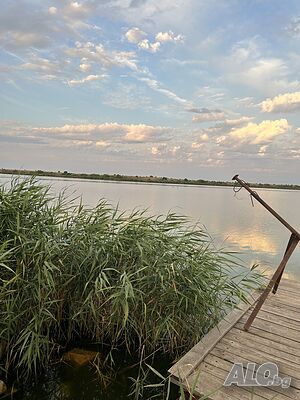 image_39