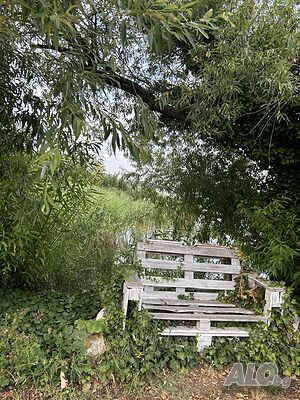 image_40