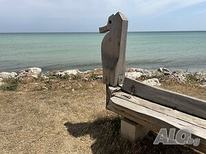 image_41