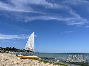 image_44