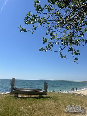 image_45