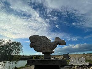 image_19