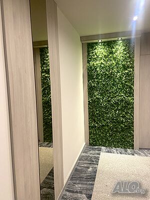 image_27