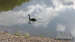 image_32