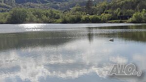 image_35