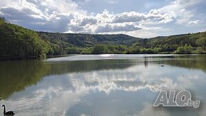 image_33