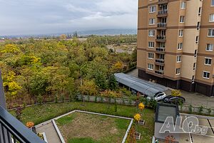 image_14