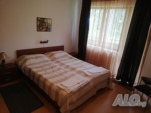 image_9