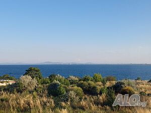 image_11