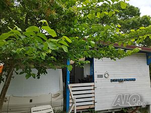 image_19