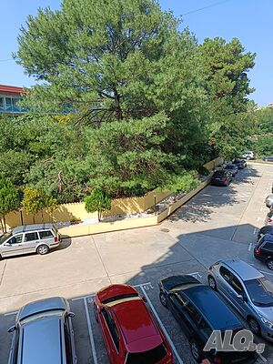 image_26